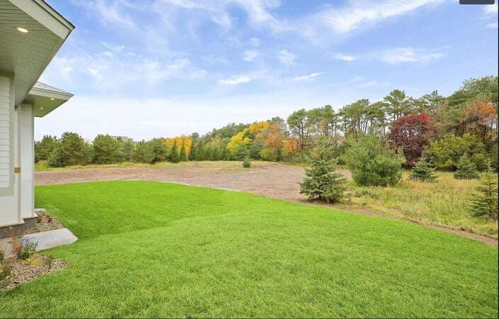 a lush green and grassy backyard