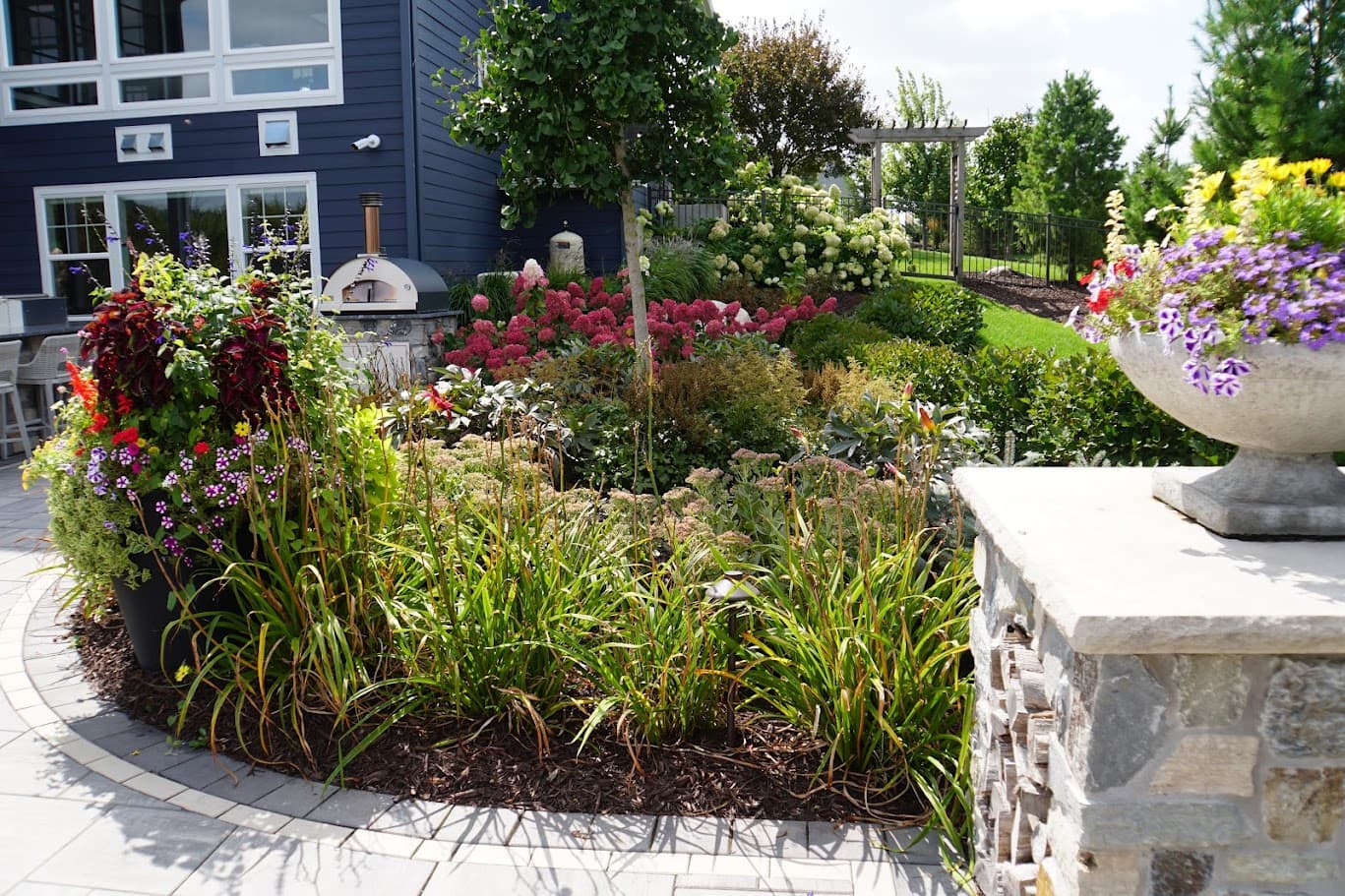 a patch of native Minnesota plants in a garden